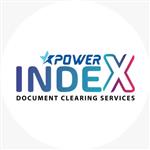 POWER INDEX MANAGEMENT SERVICES LLC